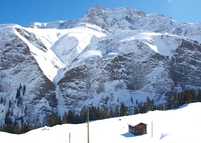 Apartment Baech Thalkirch